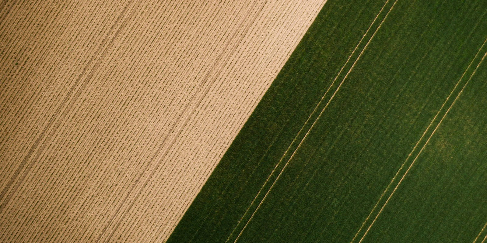 Gestion des Données : Outils et Techniques Modernes