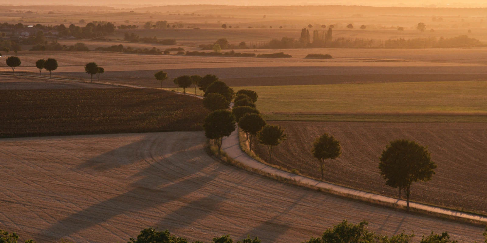 IUT Paris : Étudier les Sciences Informatiques