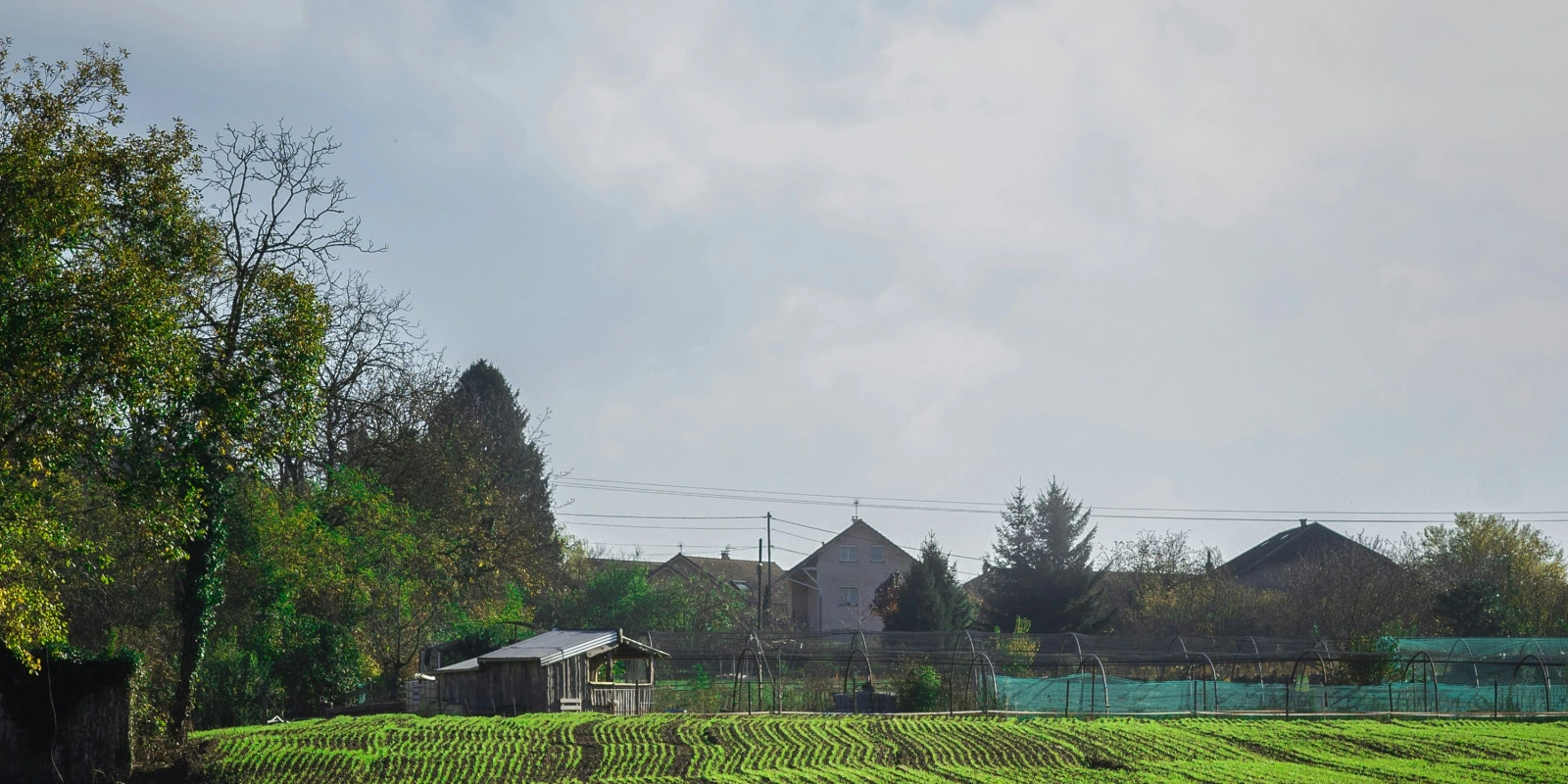 L'Évolution des Techniques de Gestion des Données