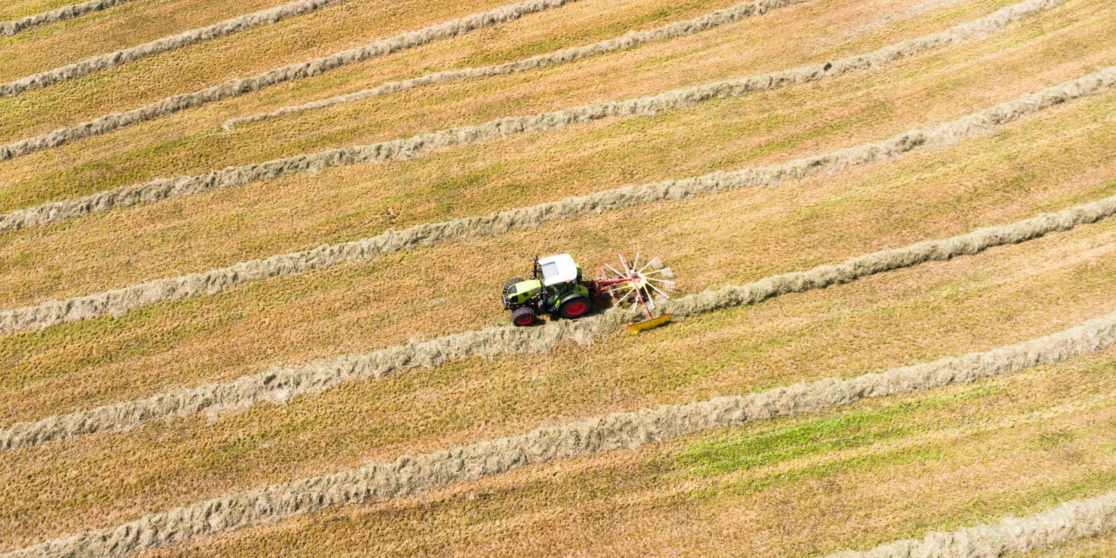 Les Compétences Clés en Sciences des Données Les Compétences Clés en Sciences des Données