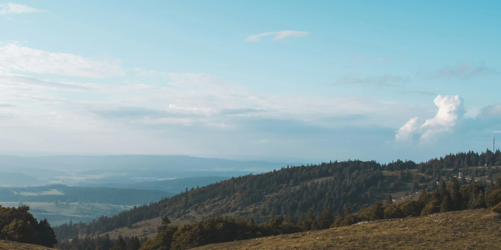 Les Meilleures Universités pour Étudier la Science des Données