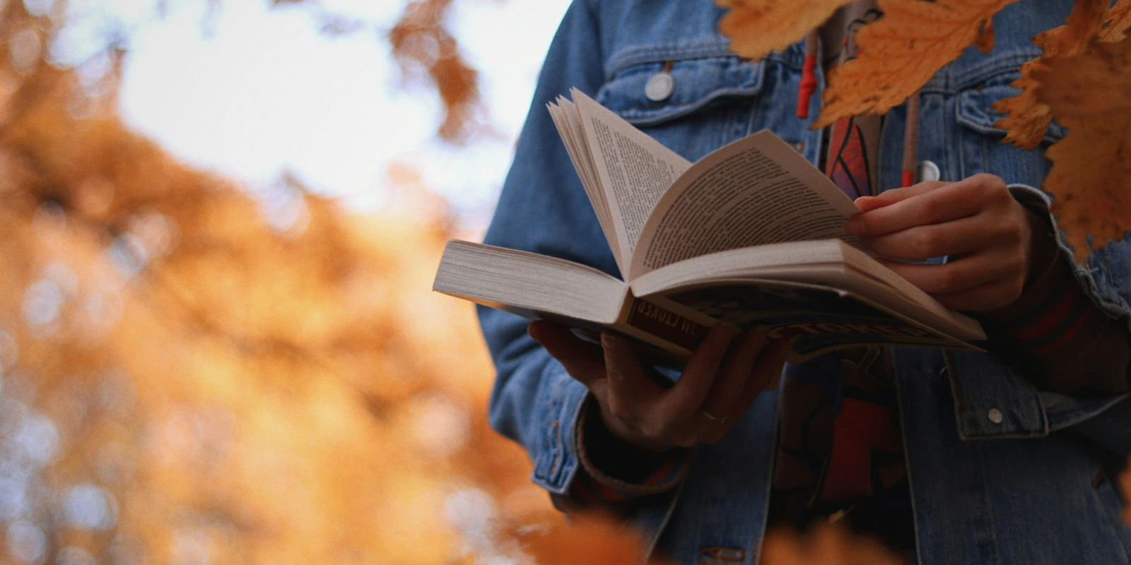 Pourquoi Choisir le BUT SD (Science des Données) ?